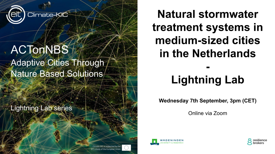 Natural stormwater treatment systems in medium-sized cities in the  Netherlands - Lightning Lab - Nature-Based City Initiative